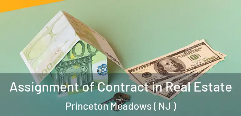  Assignment of Contract in Real Estate Princeton Meadows ( NJ )