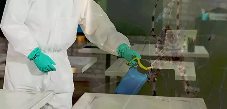 Why Buyers Still Want Homes With Pest Infestations in New Jersey, NJ?