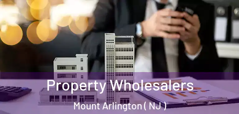  Property Wholesalers Mount Arlington ( NJ )