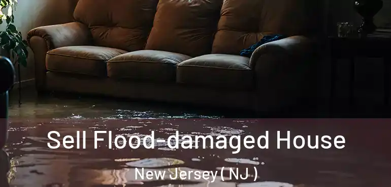  Sell Flood-damaged House New Jersey ( NJ )