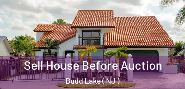  Sell House Before Auction Budd Lake ( NJ )
