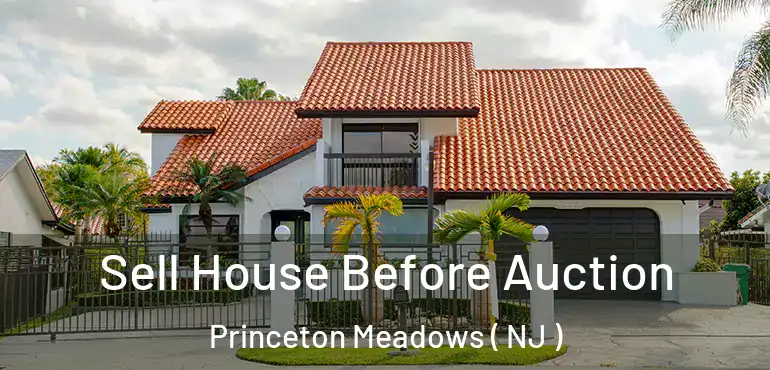  Sell House Before Auction Princeton Meadows ( NJ )
