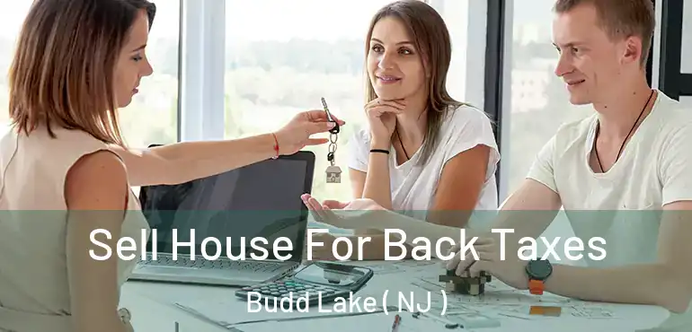  Sell House For Back Taxes Budd Lake ( NJ )