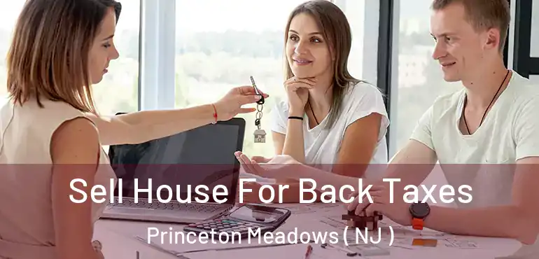  Sell House For Back Taxes Princeton Meadows ( NJ )
