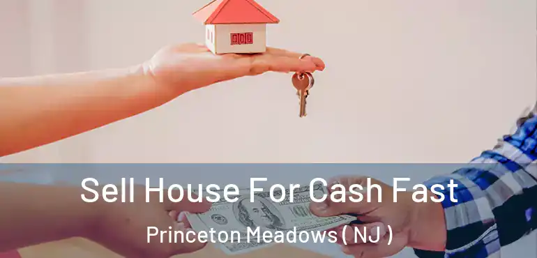  Sell House For Cash Fast Princeton Meadows ( NJ )