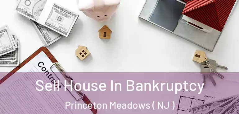  Sell House In Bankruptcy Princeton Meadows ( NJ )