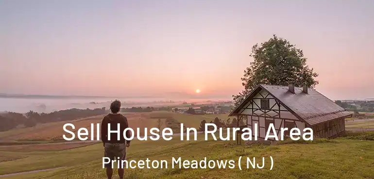  Sell House In Rural Area Princeton Meadows ( NJ )
