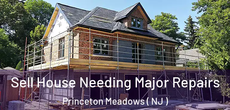  Sell House Needing Major Repairs Princeton Meadows ( NJ )