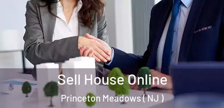  Sell House Online Princeton Meadows ( NJ )