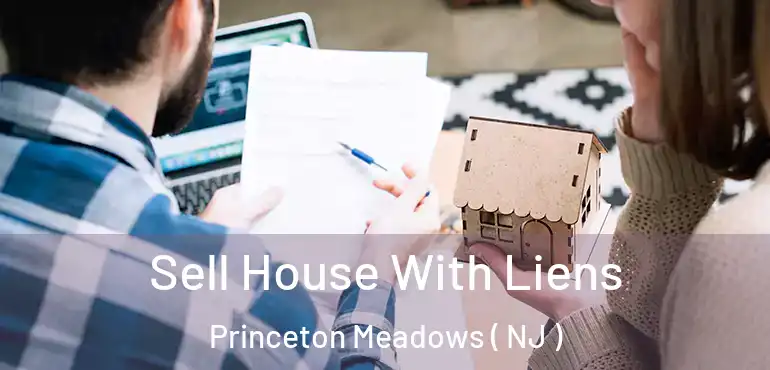  Sell House With Liens Princeton Meadows ( NJ )