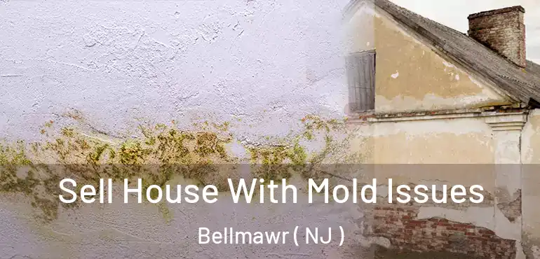  Sell House With Mold Issues Bellmawr ( NJ )