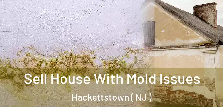  Sell House With Mold Issues Hackettstown ( NJ )