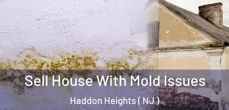  Sell House With Mold Issues Haddon Heights ( NJ )