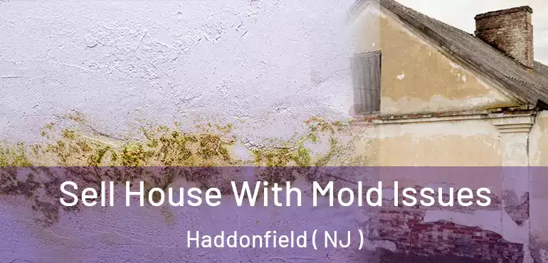 Sell House With Mold Issues Haddonfield ( NJ )