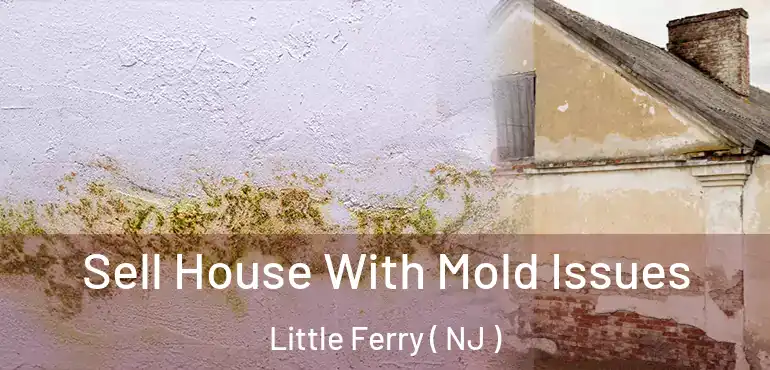  Sell House With Mold Issues Little Ferry ( NJ )