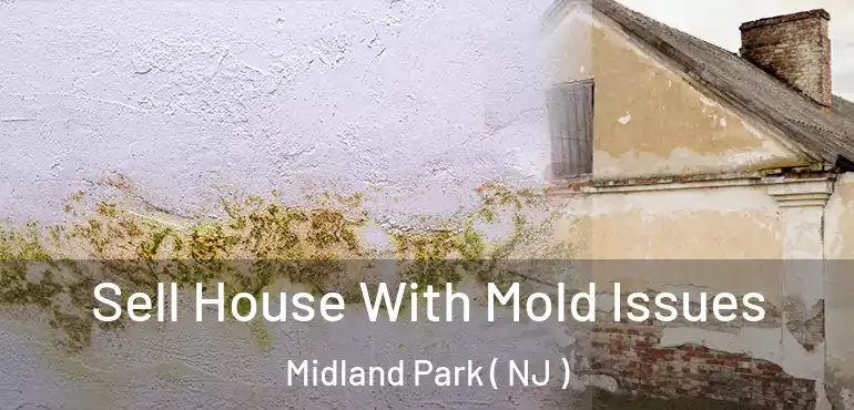  Sell House With Mold Issues Midland Park ( NJ )