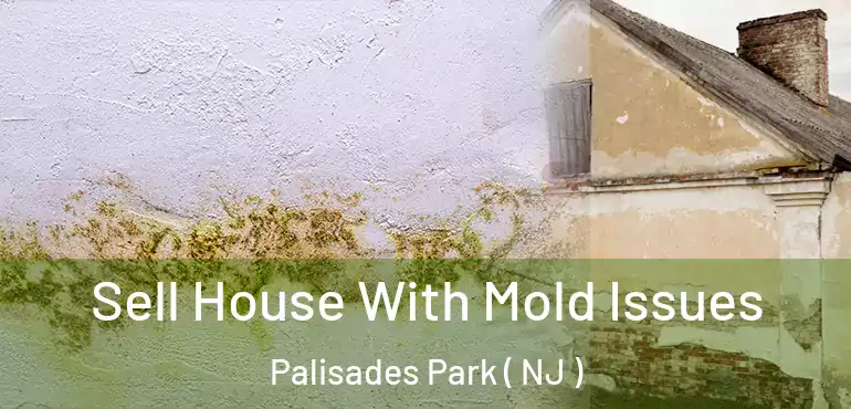  Sell House With Mold Issues Palisades Park ( NJ )