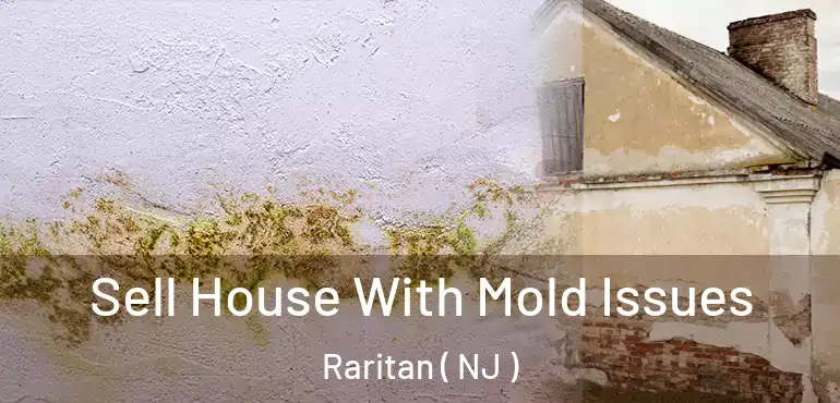  Sell House With Mold Issues Raritan ( NJ )