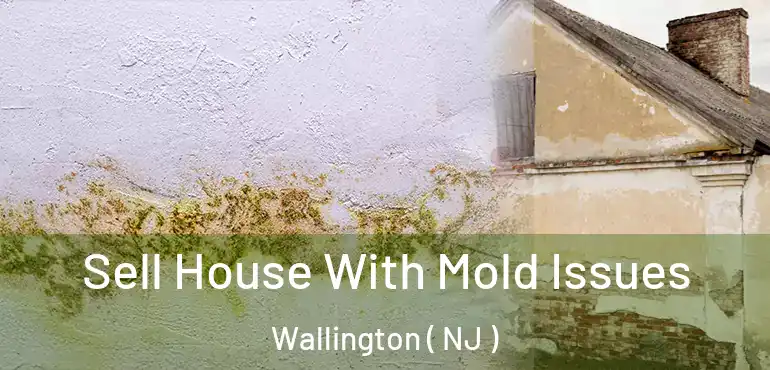  Sell House With Mold Issues Wallington ( NJ )