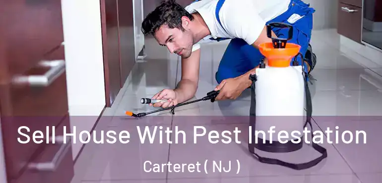  Sell House With Pest Infestation Carteret ( NJ )