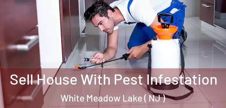  Sell House With Pest Infestation White Meadow Lake ( NJ )