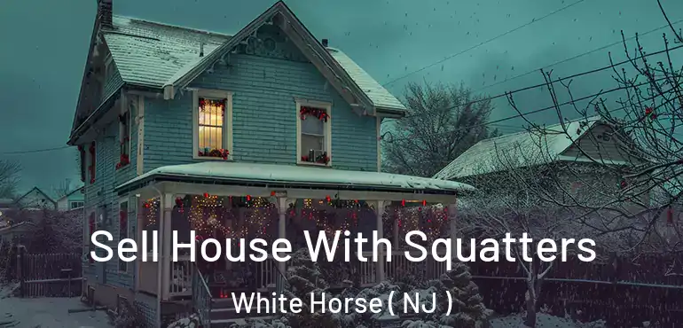  Sell House With Squatters White Horse ( NJ )