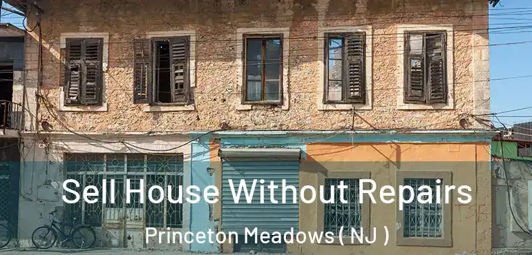  Sell House Without Repairs Princeton Meadows ( NJ )